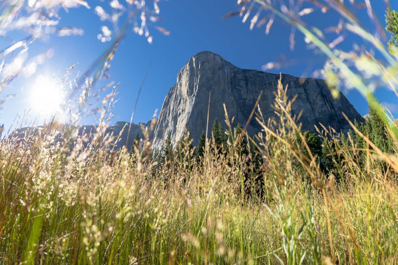2bfree, Kalifornien, National Park, Nationalpark, USA, Yosemite