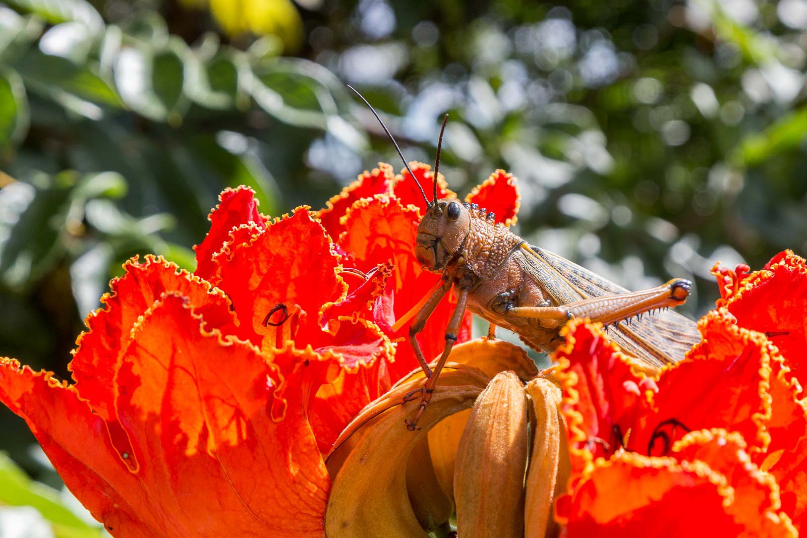Termales de Alicante
