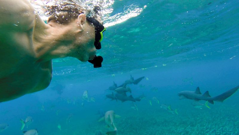 2bfree_Copyright Mark Wistuba.