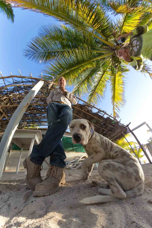 2bfree Copyright Mark Wistuba