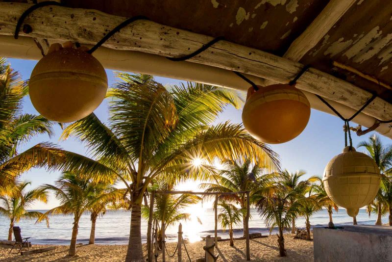 2bfree Copyright Mark Wistuba