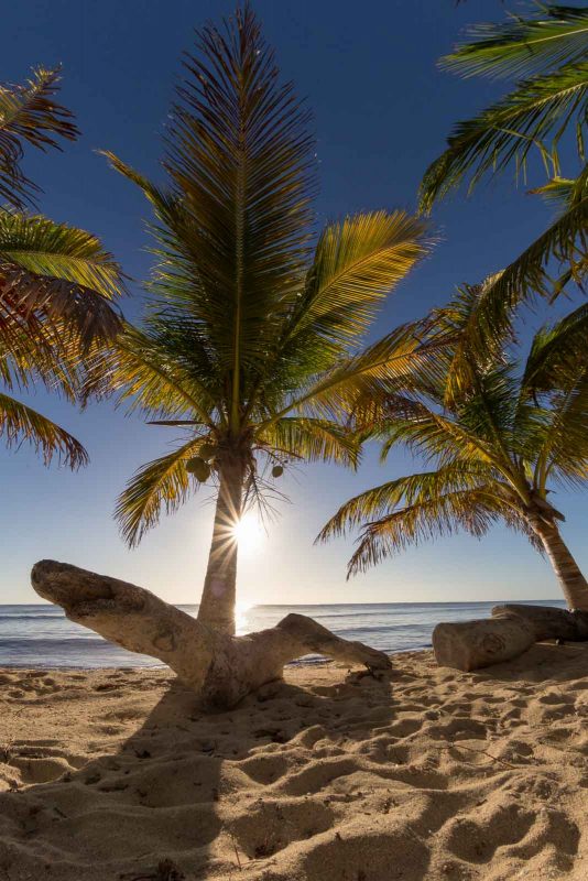 2bfree Copyright Mark Wistuba