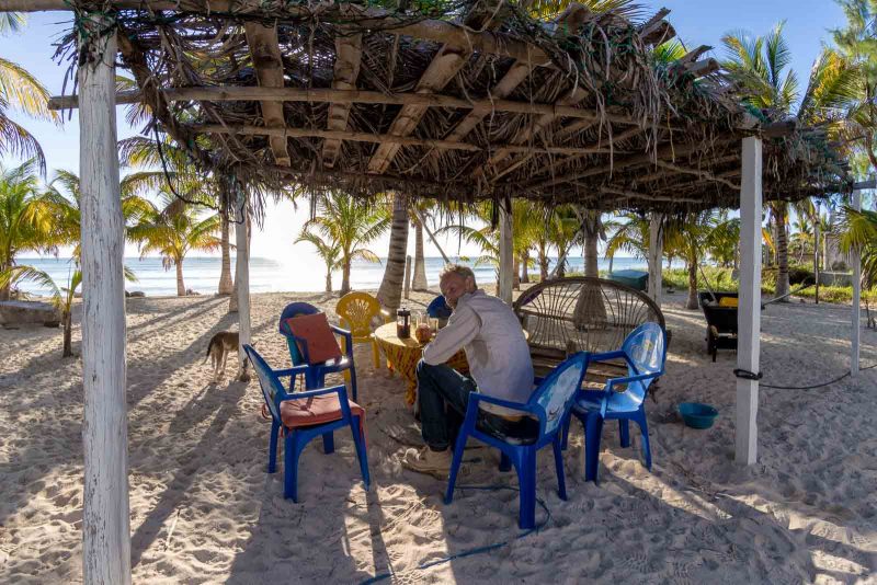 2bfree Copyright Mark Wistuba