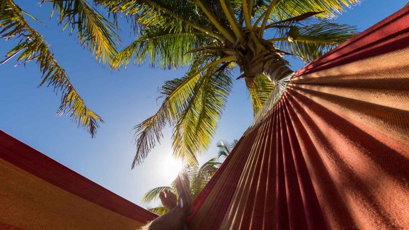 2bfree Copyright Mark Wistuba