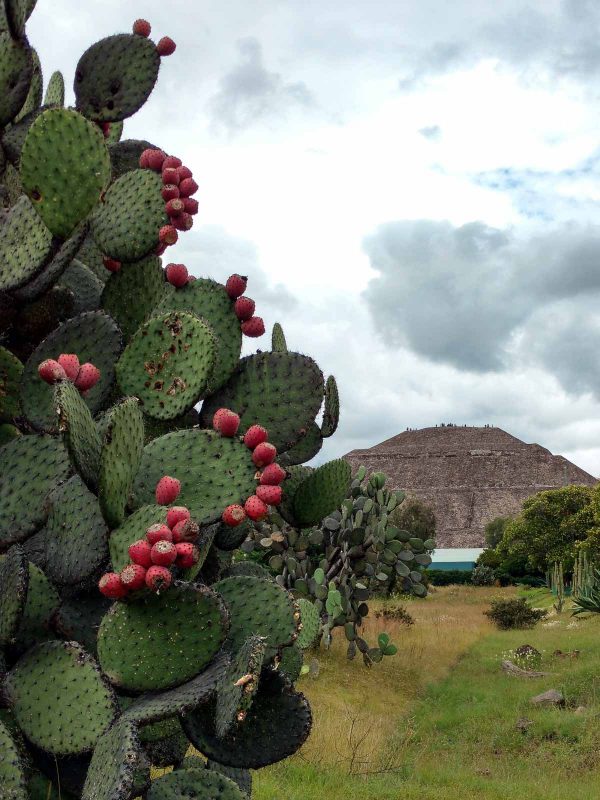 Teotihuacan