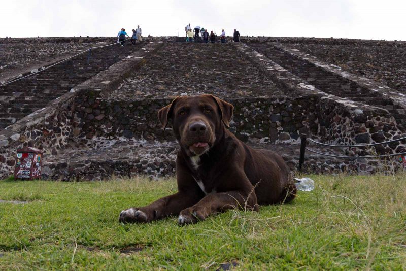 Teotihuacan